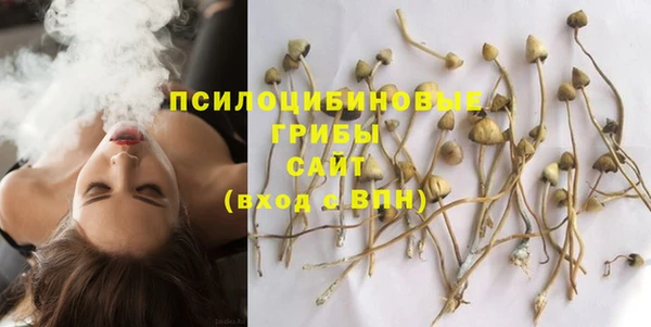 ешки Алзамай
